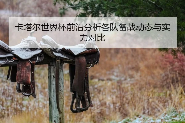 卡塔尔世界杯前沿分析各队备战动态与实力对比